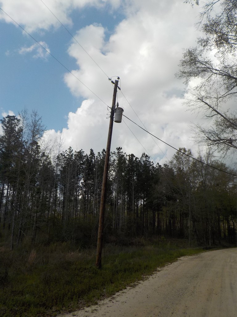 19.48-ac Cureton Road Dothan, AL 36301 - Photo 3 of 20