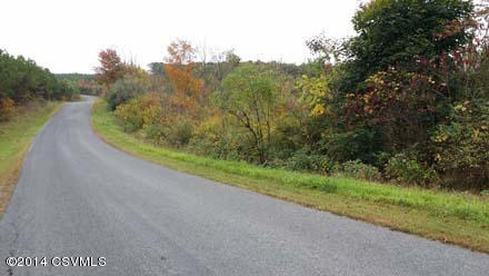 Lot 3 Highland Road Millerstown, PA 17062 - Photo 3 of 4 Gallery Image 3