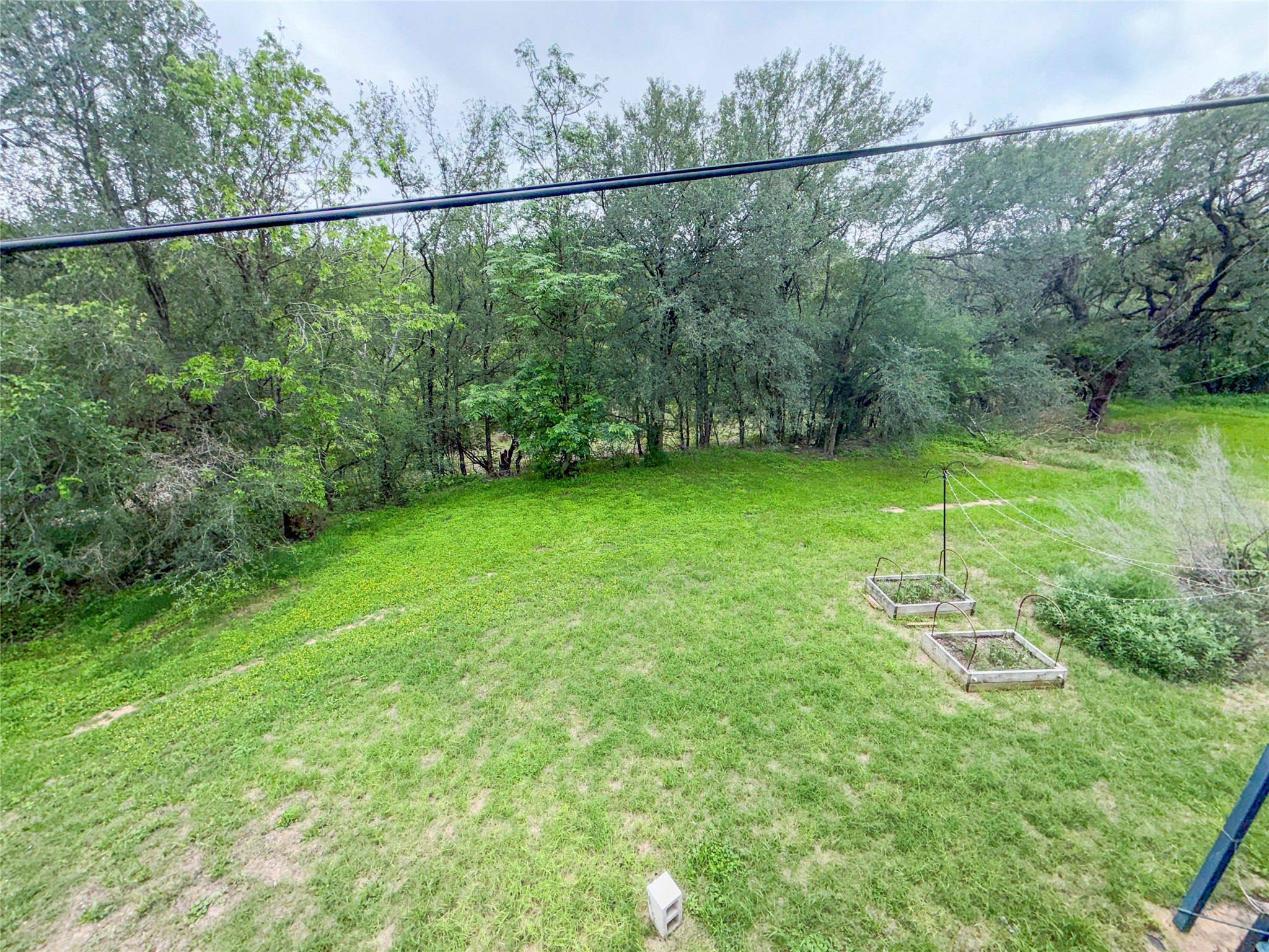 5313 Indio Drive, Unit D Austin, TX 78745 - Photo 17 of 17 a backyard of a house with lots of green space and plants