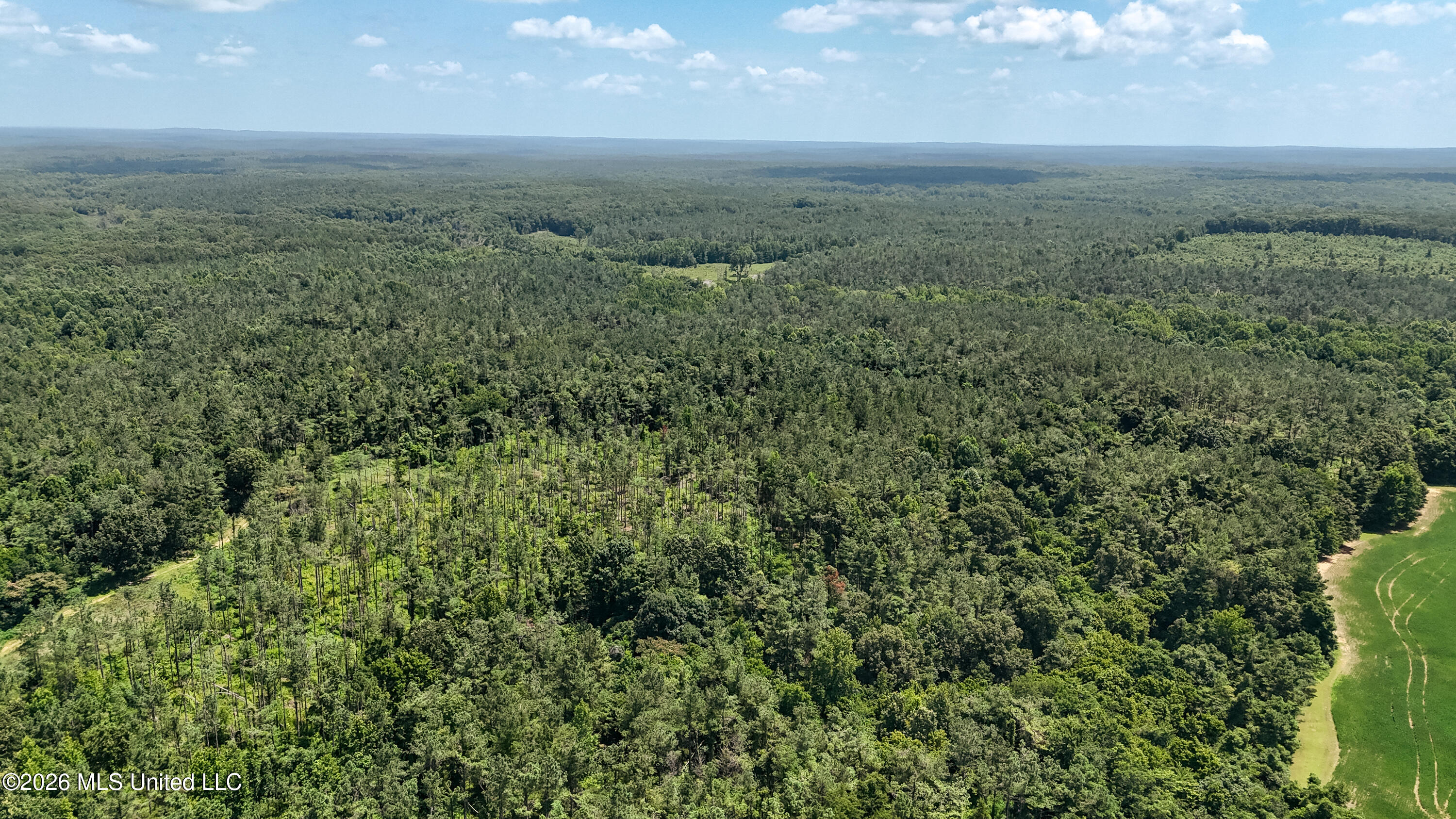 828 Little Egypt Road Ashland, MS 38603 - Photo 60 of 101 DJI_20260630115640_0326_D