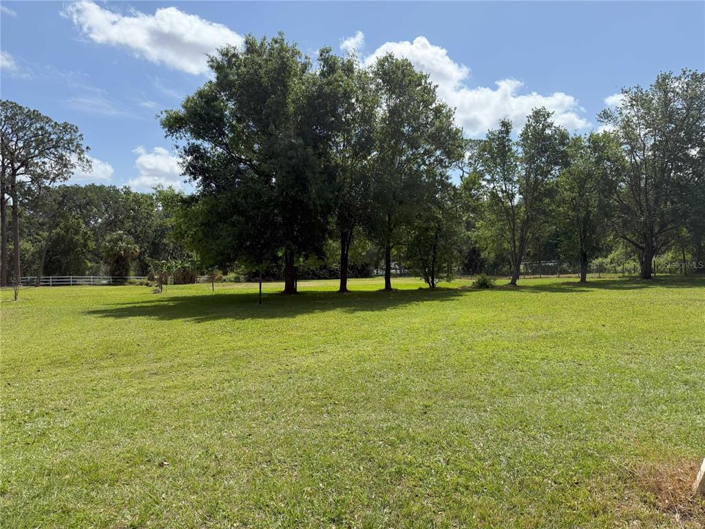 0 North Dover Road Dover, FL 33527 - Photo 7 of 7