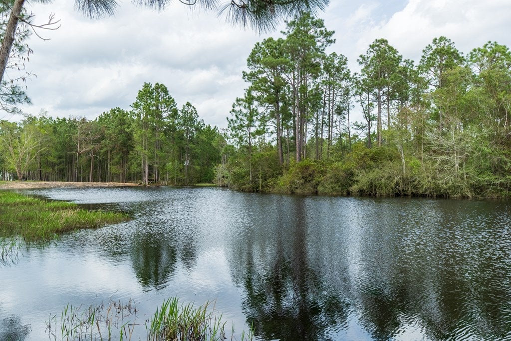 1356 Coxstill Road Adel, GA 31620 - Photo 44 of 71 Gallery Image 44