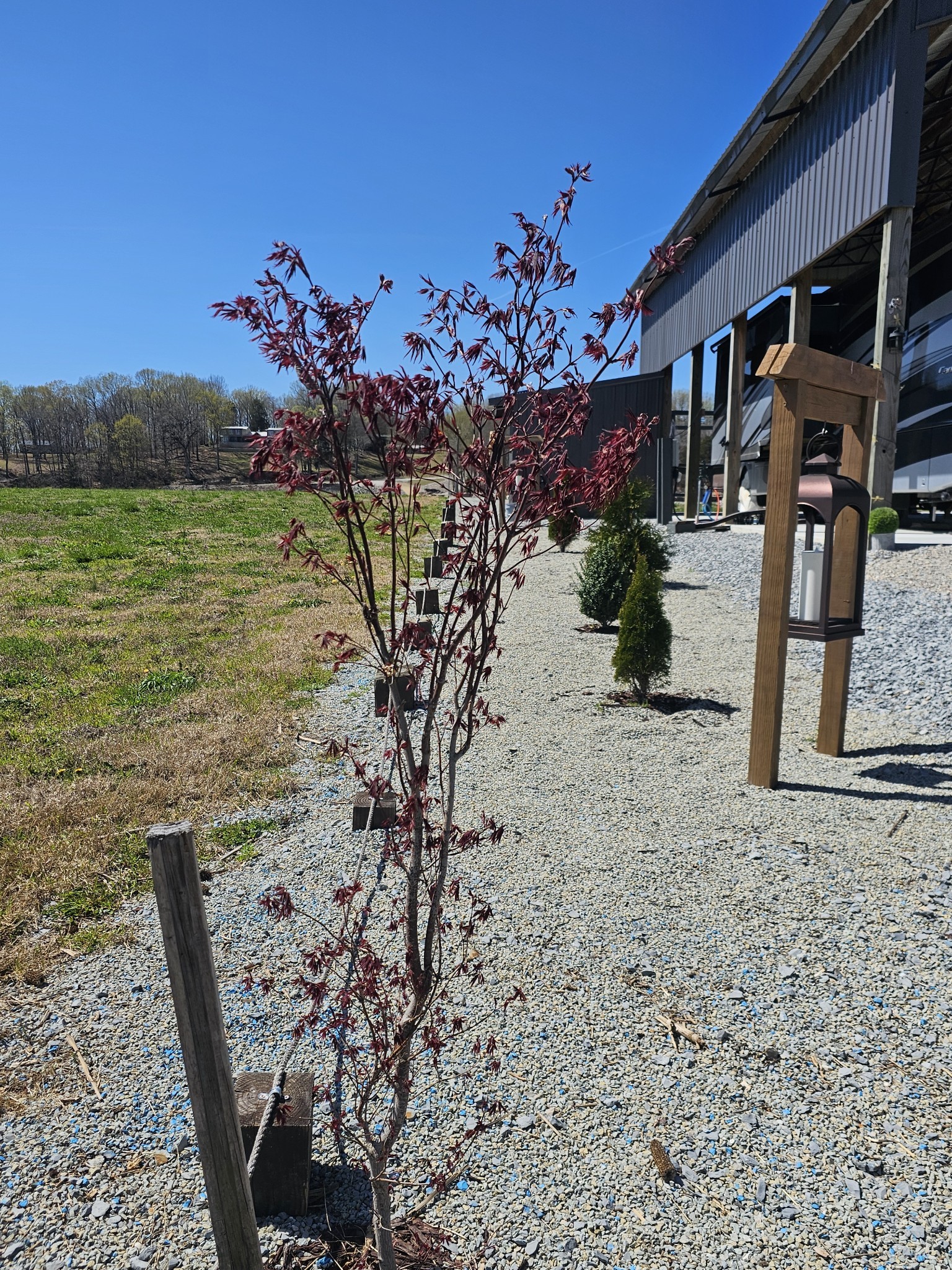 1803 Hardin Bottom River Road Clifton, TN 38425 - Photo 16 of 60 a view of a house with a yard