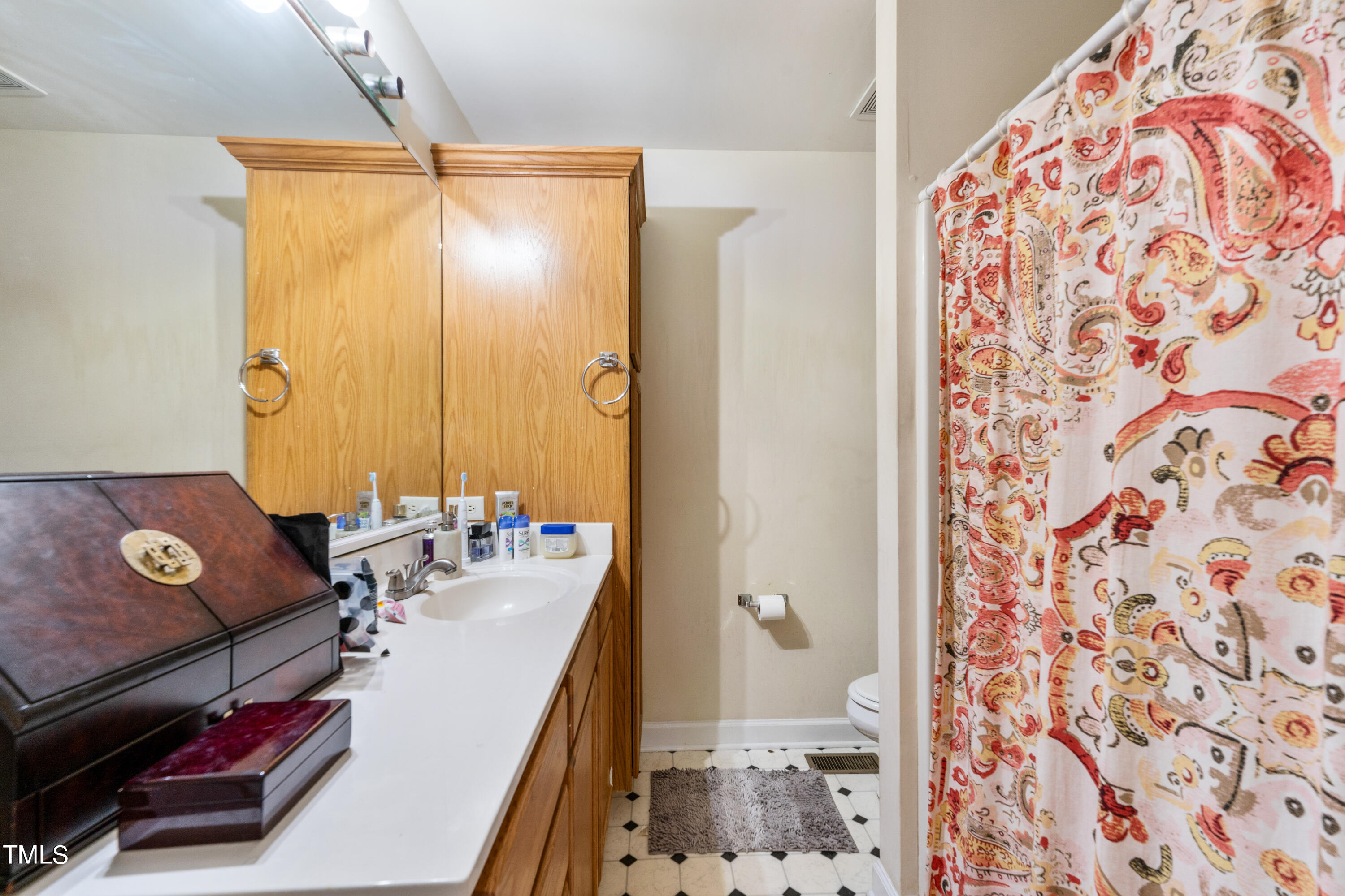 1005 Chaney Road Raleigh, NC 27606 - Photo 8 of 18 a bathroom with a sink mirror vanity and toilet