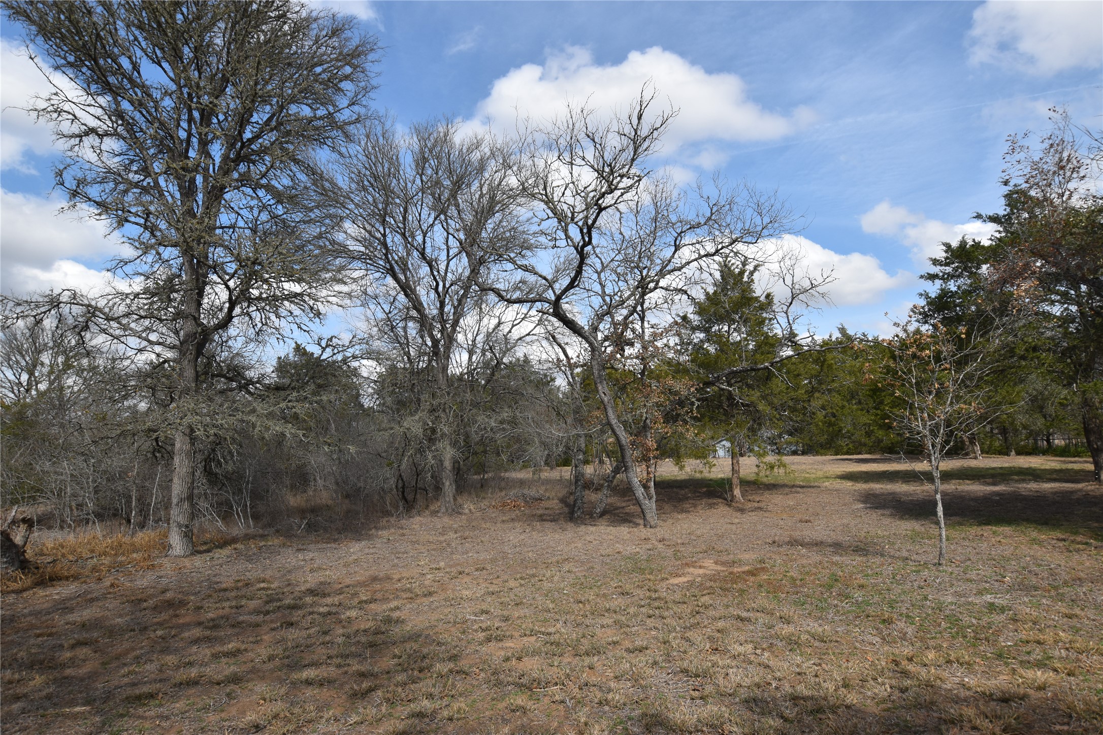 687 Fm 812 Road Red Rock, TX 78662 - Photo 26 of 40 View of yard