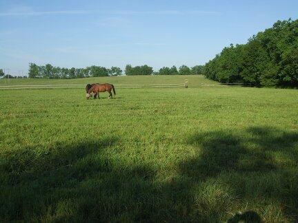 3006 Bryan Station Road Lexington, KY 40516 - Photo 14 of 18 mls14