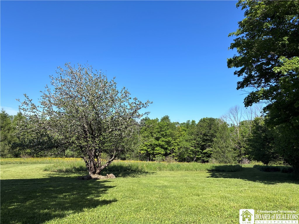 8905 Tug Hill Road Machias, NY 14101 - Photo 50 of 50