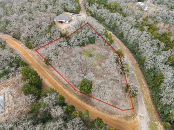 a view of a dry yard with large trees