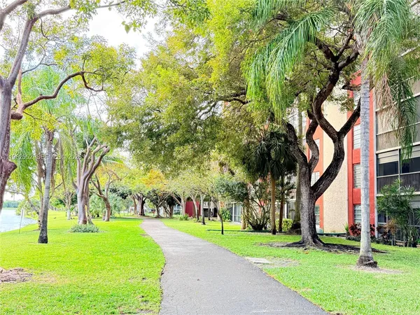 a view of a park with large trees