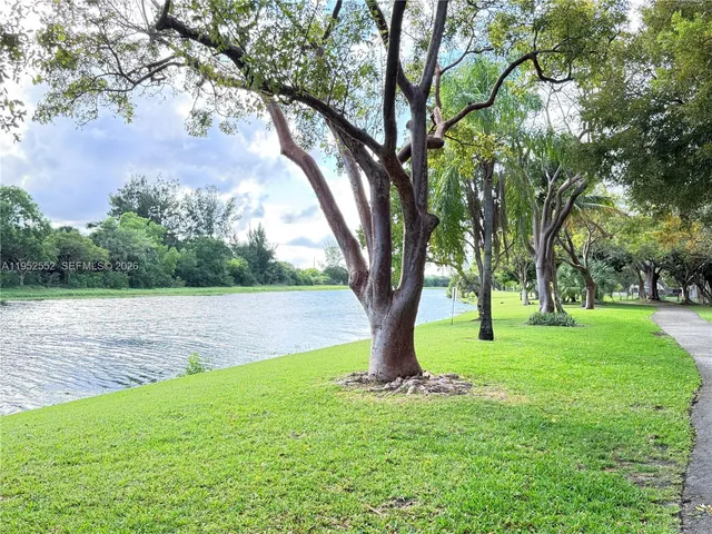 a view of a garden with a tree