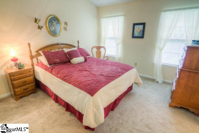 205 Riverside Chase Circle Greer, SC 29650 - Photo 13 of 22