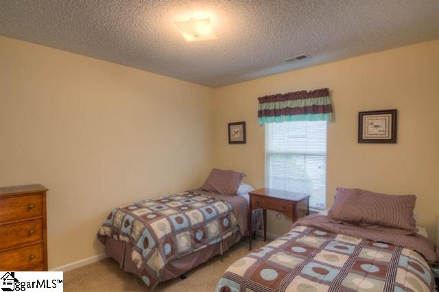 205 Riverside Chase Circle Greer, SC 29650 - Photo 15 of 22