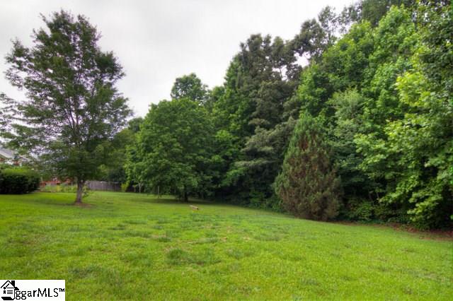 205 Riverside Chase Circle Greer, SC 29650 - Photo 3 of 22