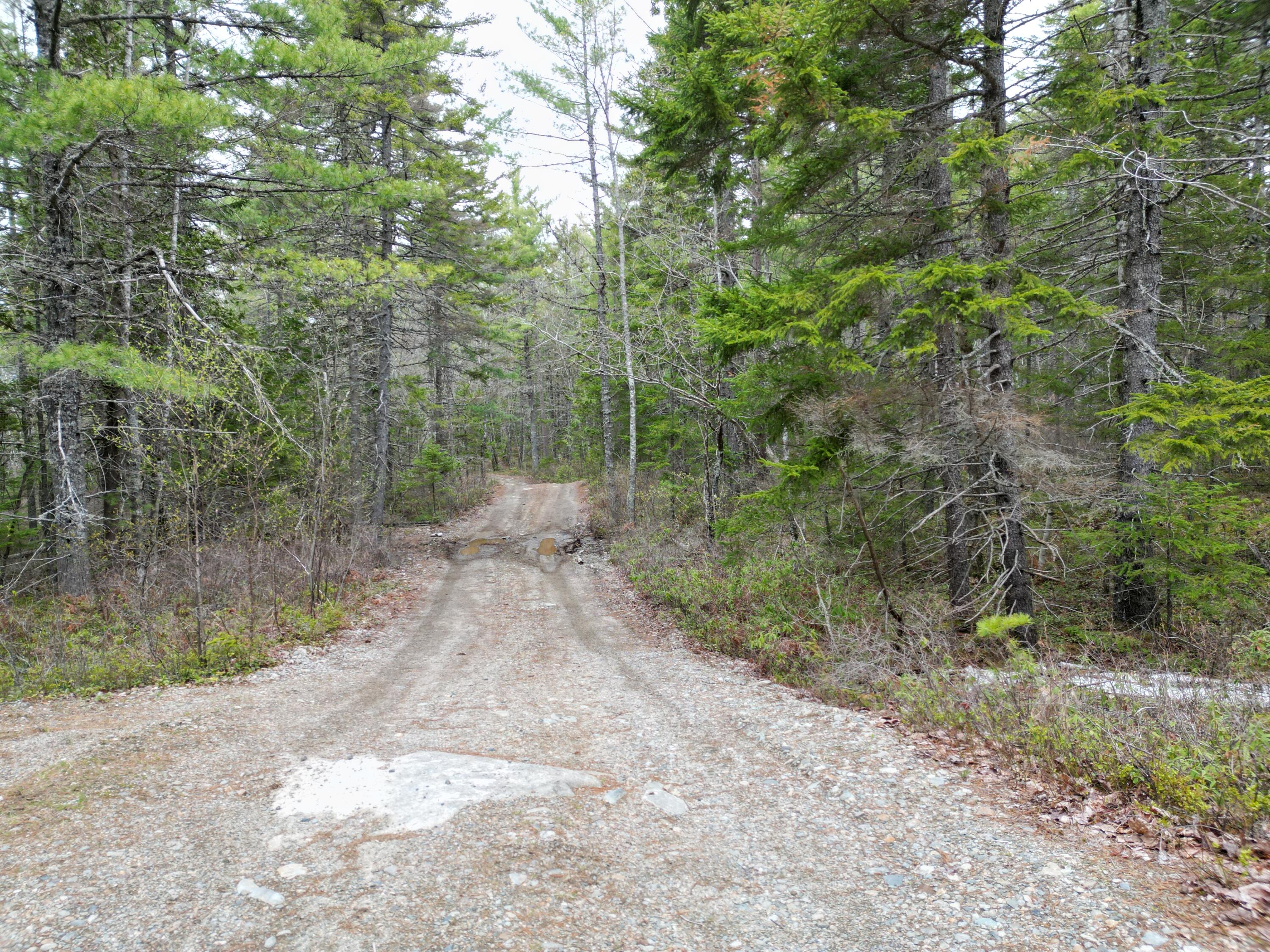 1323 Deer Haven Road Wesley, ME 04686 - Photo 11 of 14 DJI_0424