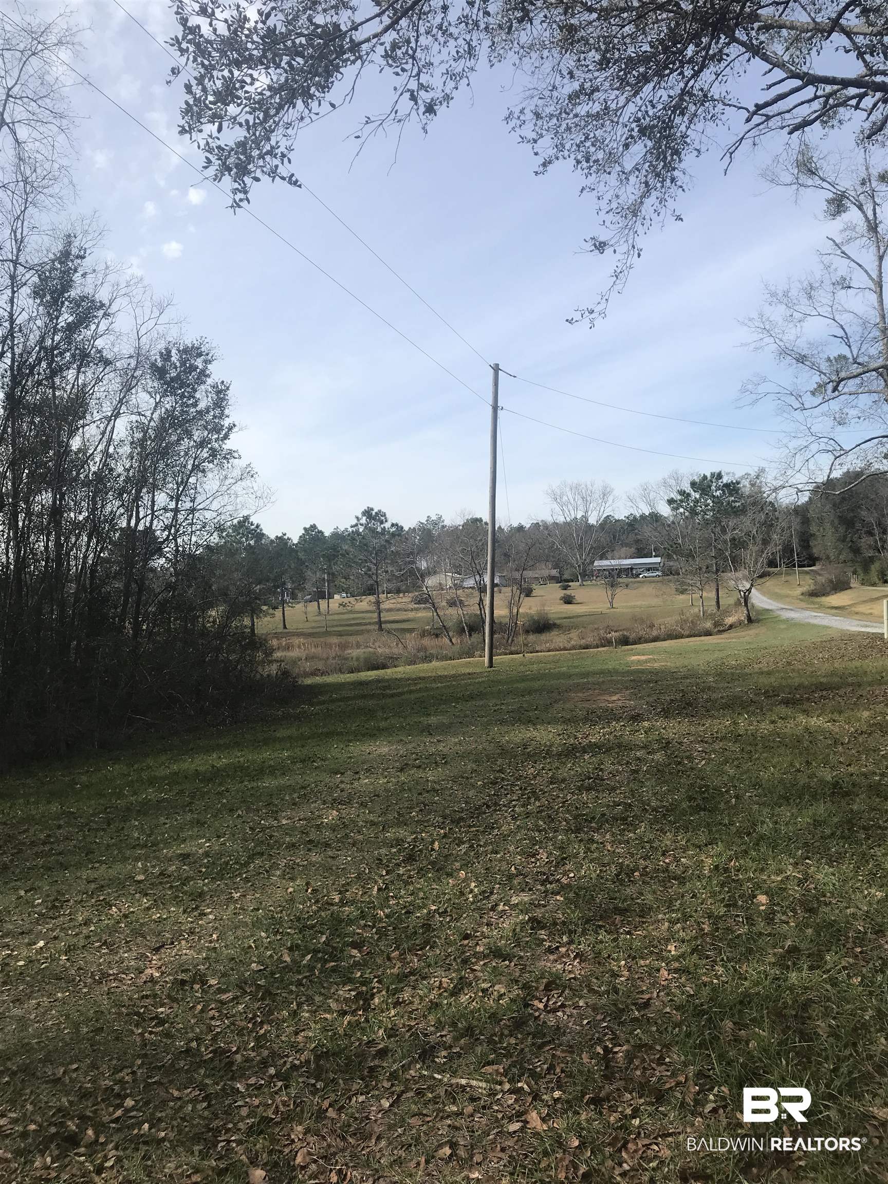 0 Steadham Lane Robertsdale, AL 36567 - Photo 9 of 24