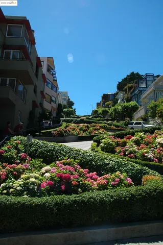 a view of a flower in a garden