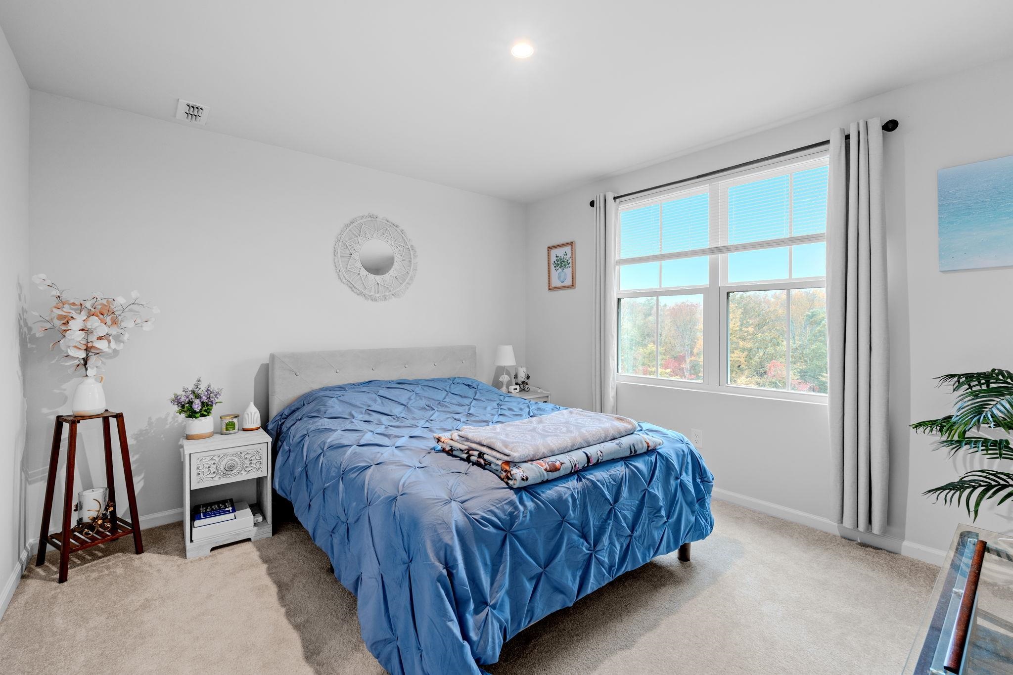 317 Cinerea Way Greer, SC 29651 - Photo 18 of 27