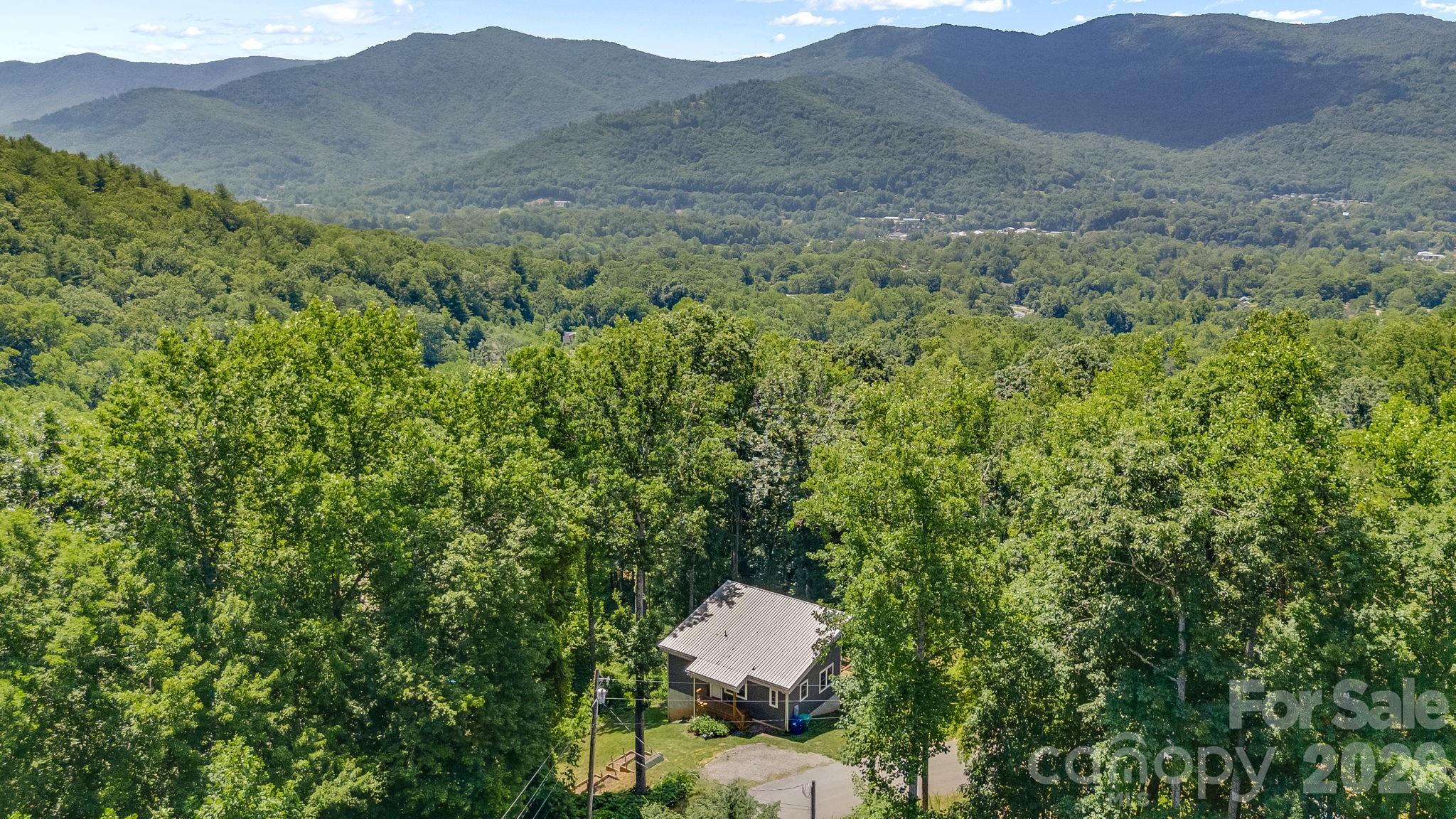19 Sassafras Valley Road Swannanoa, NC 28778 - Photo 48 of 48