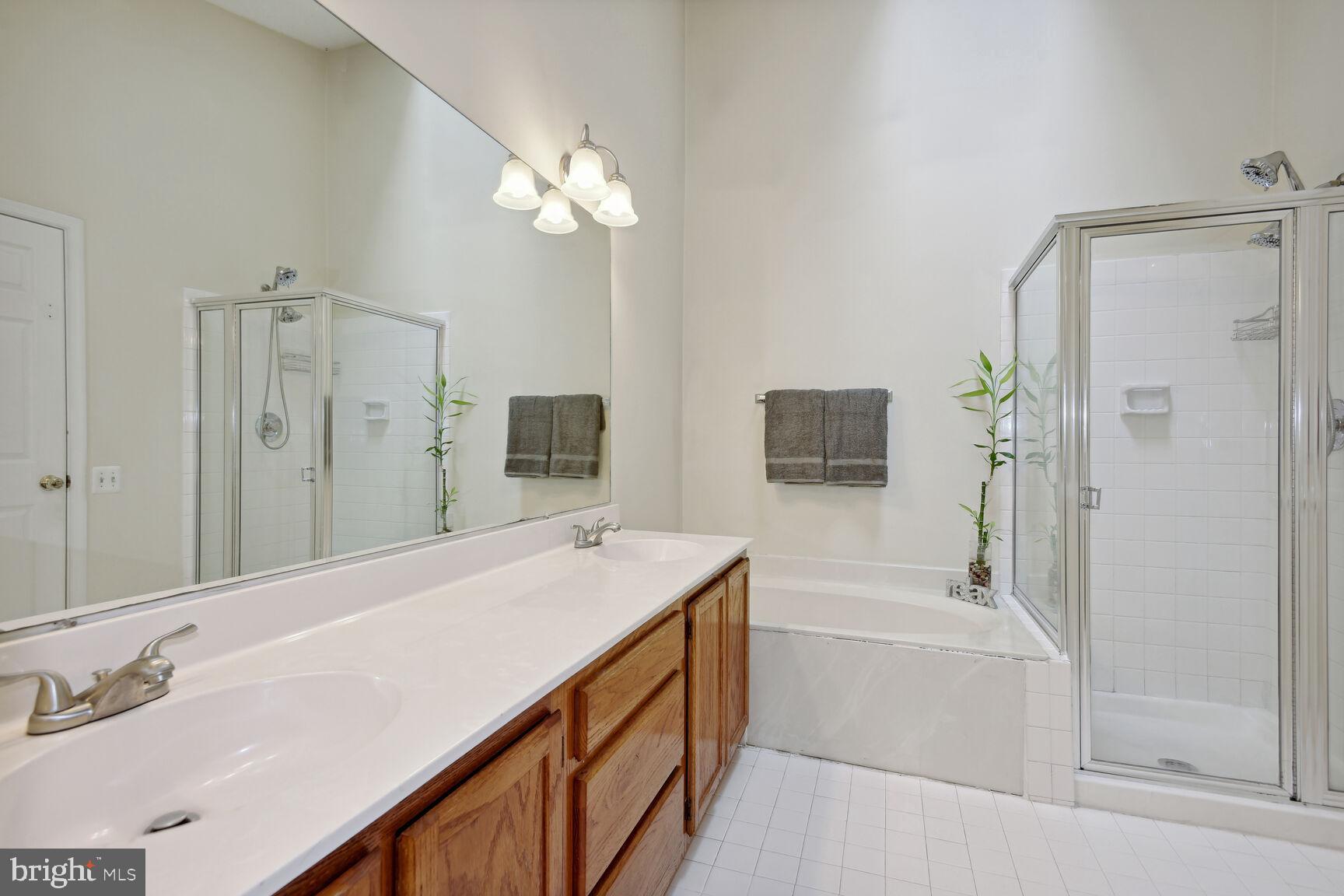 43862 Laburnum Square Ashburn, VA 20147 - Photo 11 of 27 Primary Bathroom