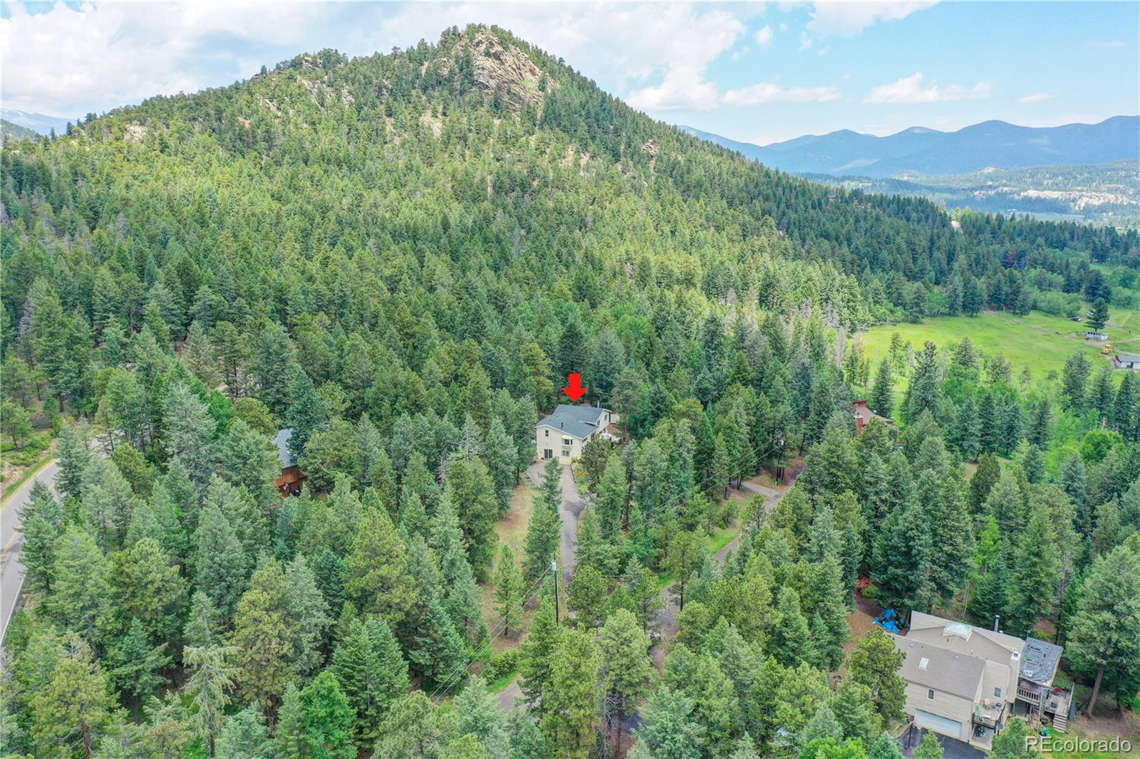 6549 Modoc Lane Evergreen, CO 80439 - Photo 37 of 39 a street view with lush green forest
