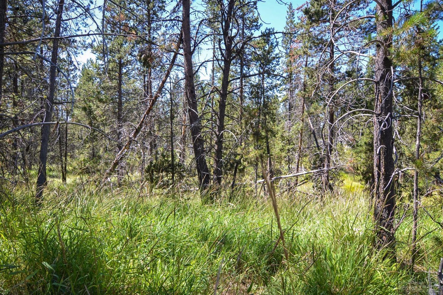 55805 Snow Goose Road Bend, OR 97707 - Photo 7 of 14 Additional Photo