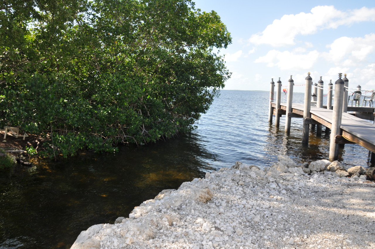 22 Osprey Road Key Largo, FL 33037 - Photo 14 of 19 Limitesd Access Channel