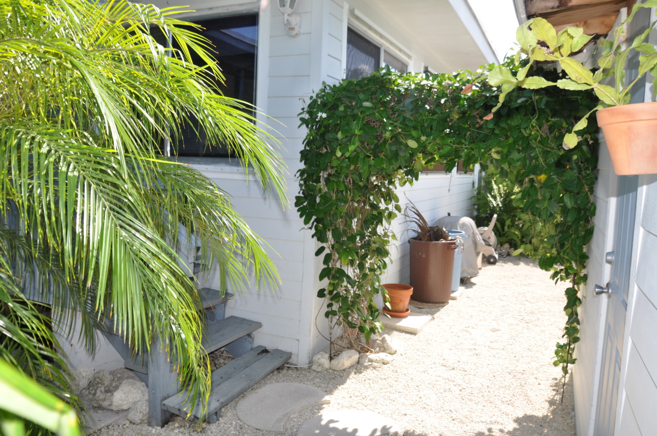 22 Osprey Road Key Largo, FL 33037 - Photo 16 of 19 Arbor