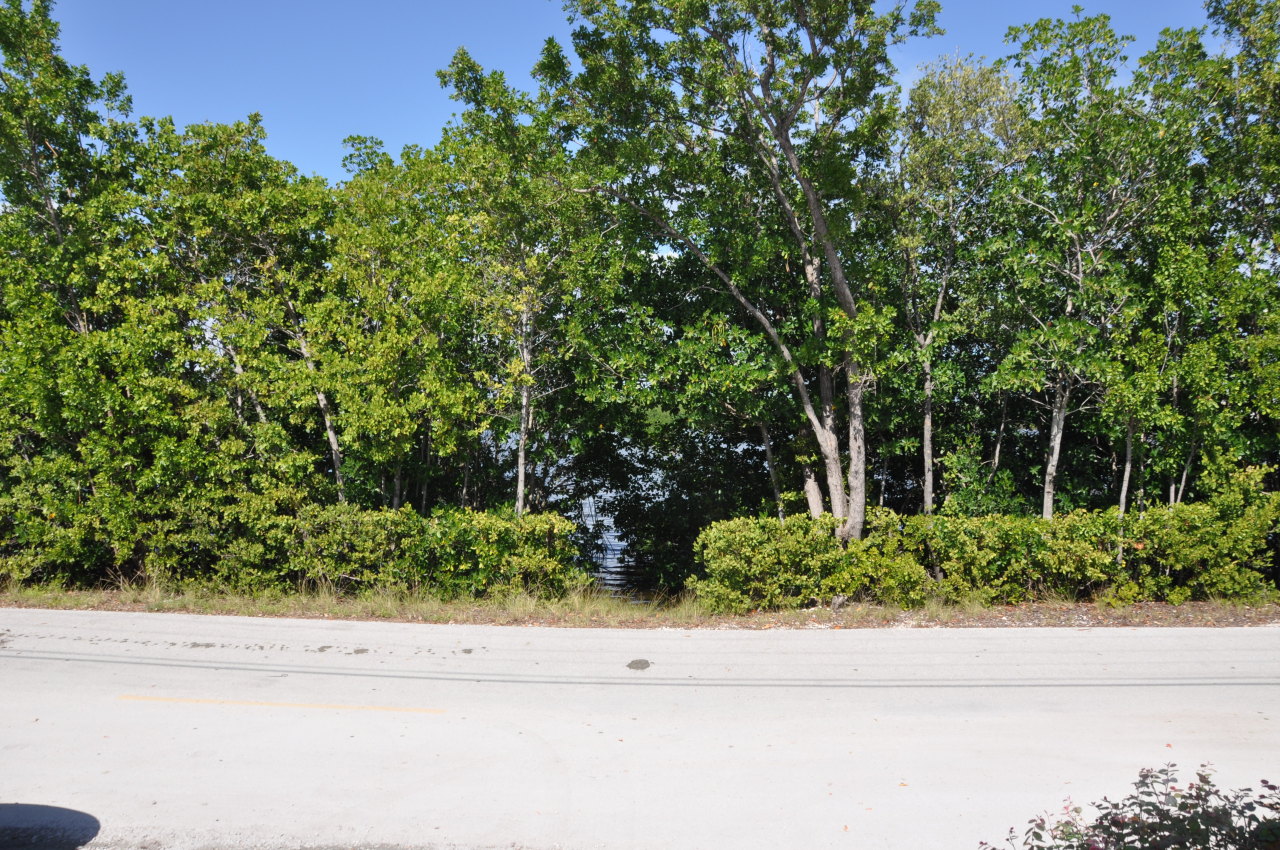 22 Osprey Road Key Largo, FL 33037 - Photo 17 of 19 Across Street