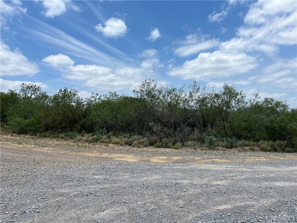 319 Pelican Street Zapata, TX 78076 - Photo 4 of 5