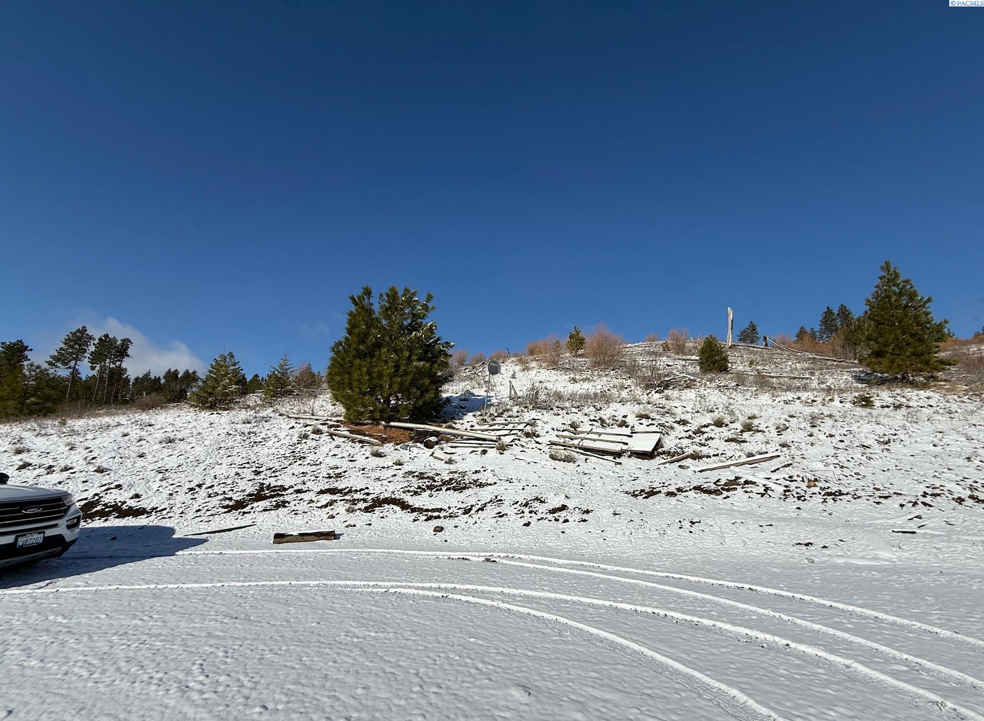 0 Mountain Road Pomeroy, WA 99347 - Photo 6 of 14 Gallery Image 6
