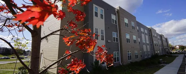 a view of a house with a tree