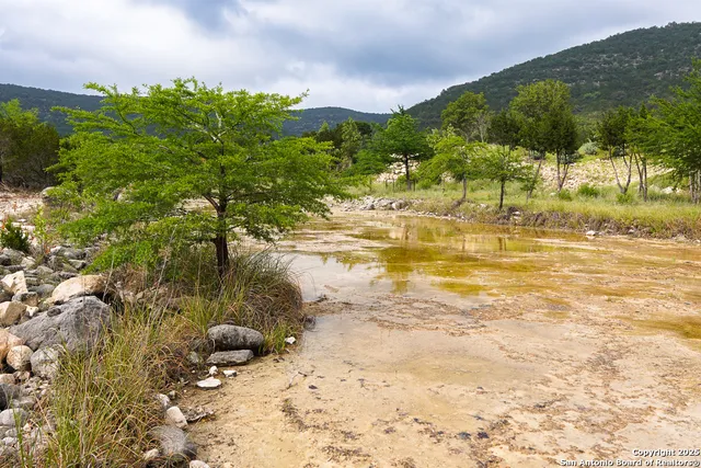 a view of an ocean and beach