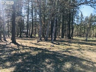 Pine Forest Road Goldendale, WA 98620 - Photo 2 of 4 Gallery Image 2
