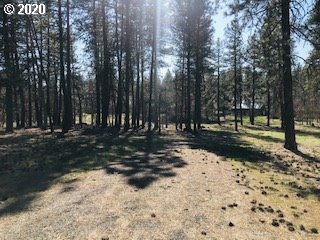 Pine Forest Road Goldendale, WA 98620 - Photo 3 of 4 Gallery Image 3