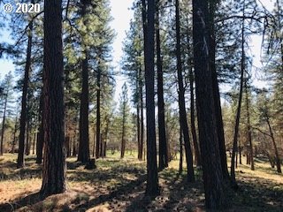 Pine Forest Road Goldendale, WA 98620 - Photo 4 of 4 Gallery Image 4
