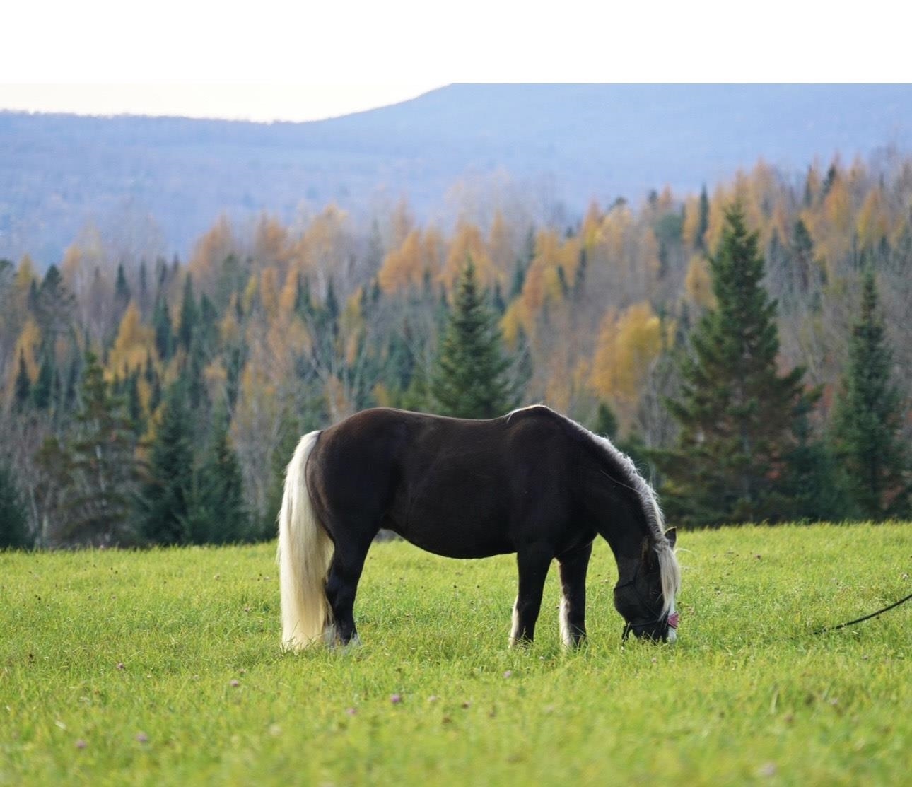 248 Airport Road Lyndon, VT 05851 - Photo 6 of 26