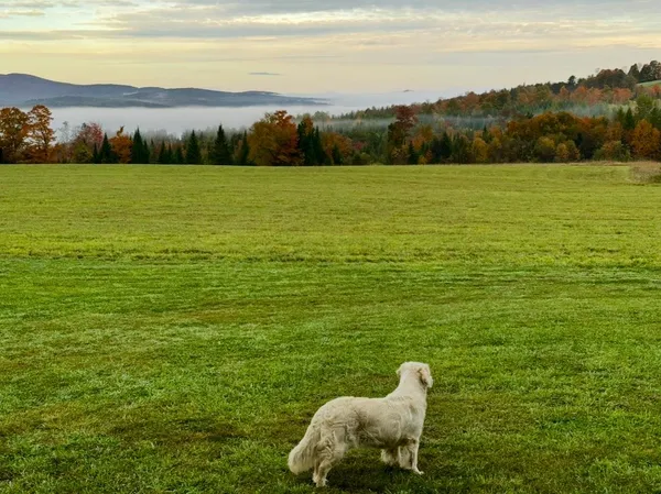 $595,000 | 248 Airport Road, Lyndon, VT 05851