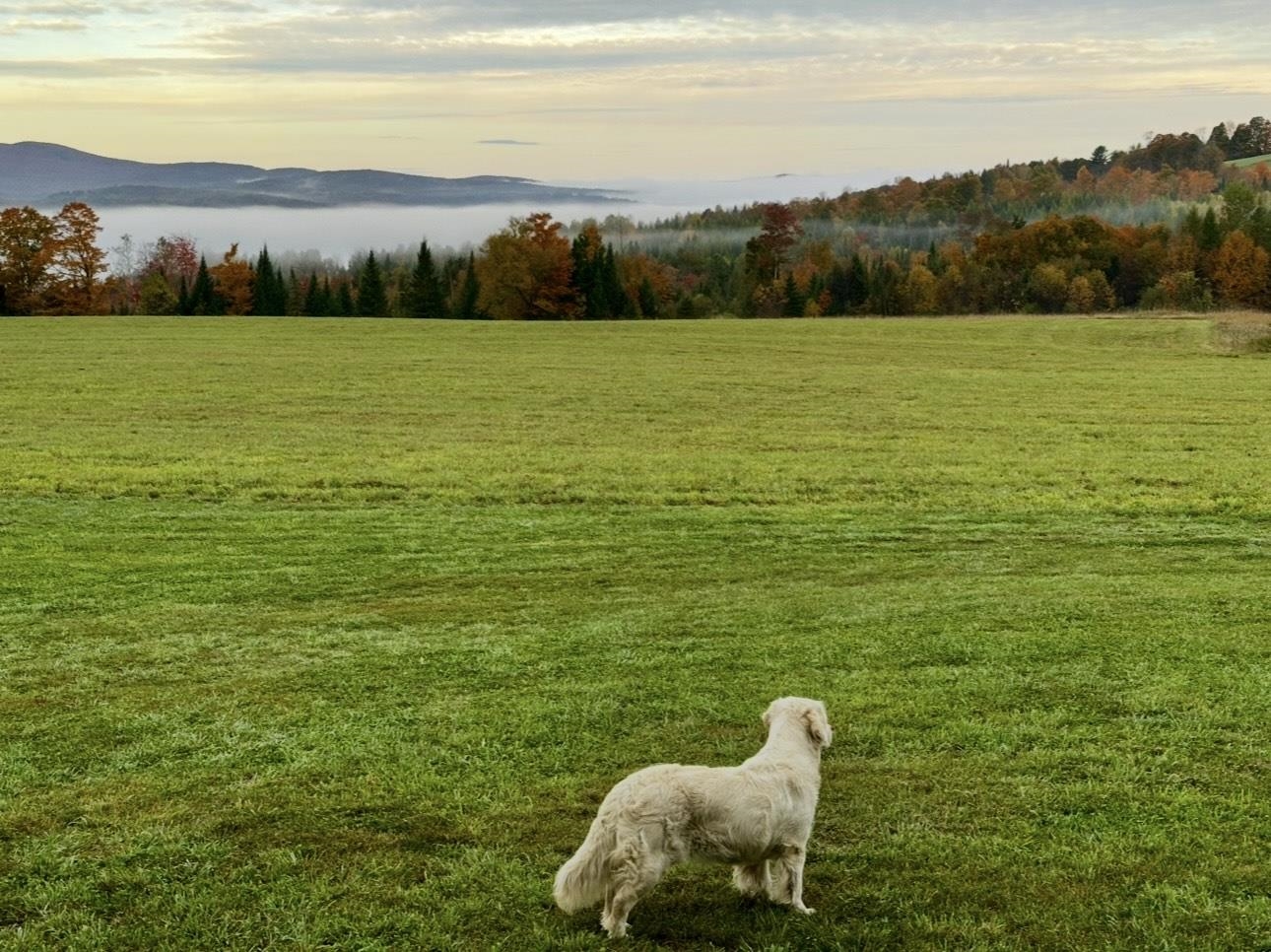 248 Airport Road Lyndon, VT 05851 - Photo 7 of 26