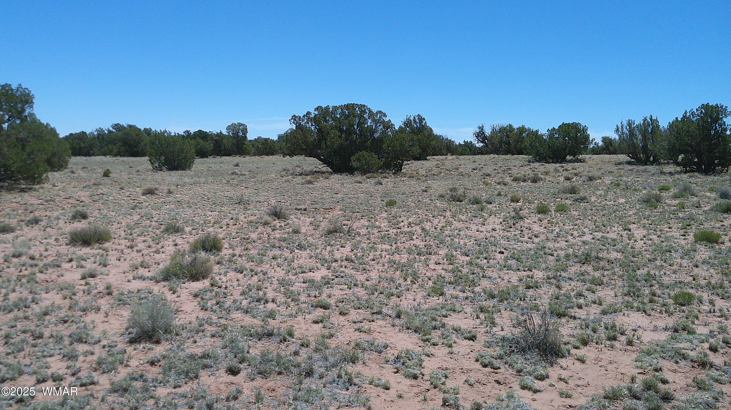 Tbd Tbd Rio Ranch Concho, AZ 85924 - Photo 29 of 44 DSCF0045