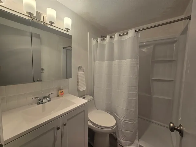 a bathroom with a sink toilet and shower