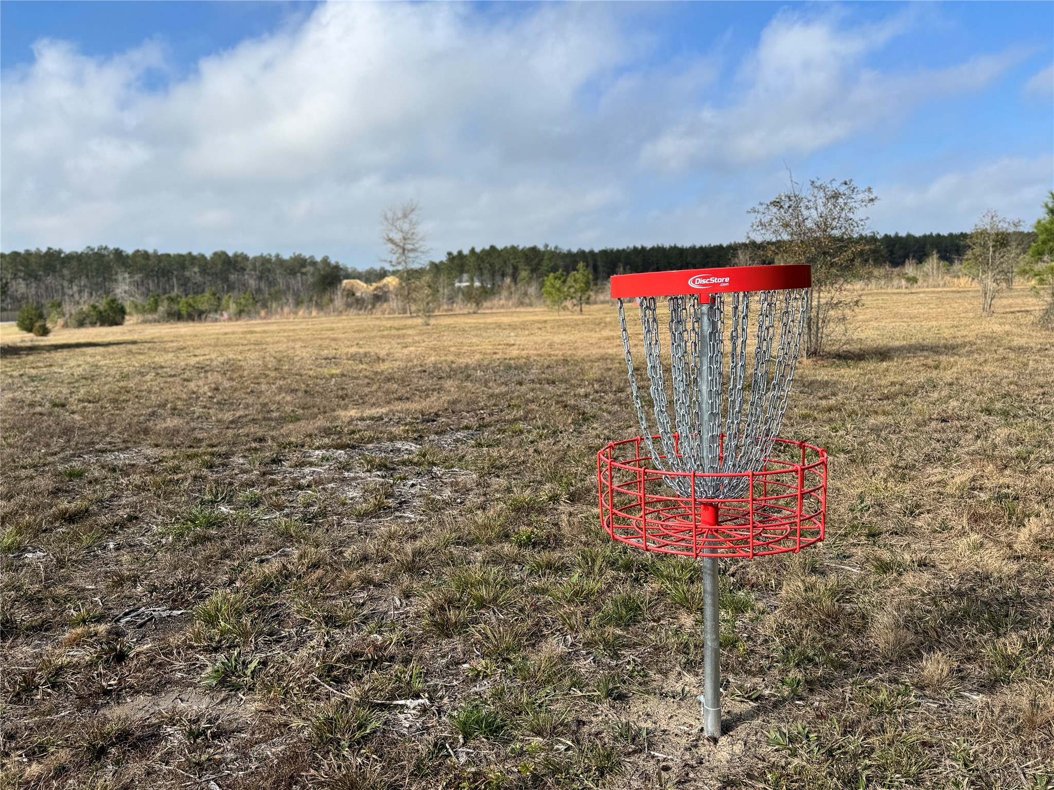 15495 Red Hawk Road Willis, TX 77378 - Photo 9 of 16 a view of a lake with a big yard and large trees