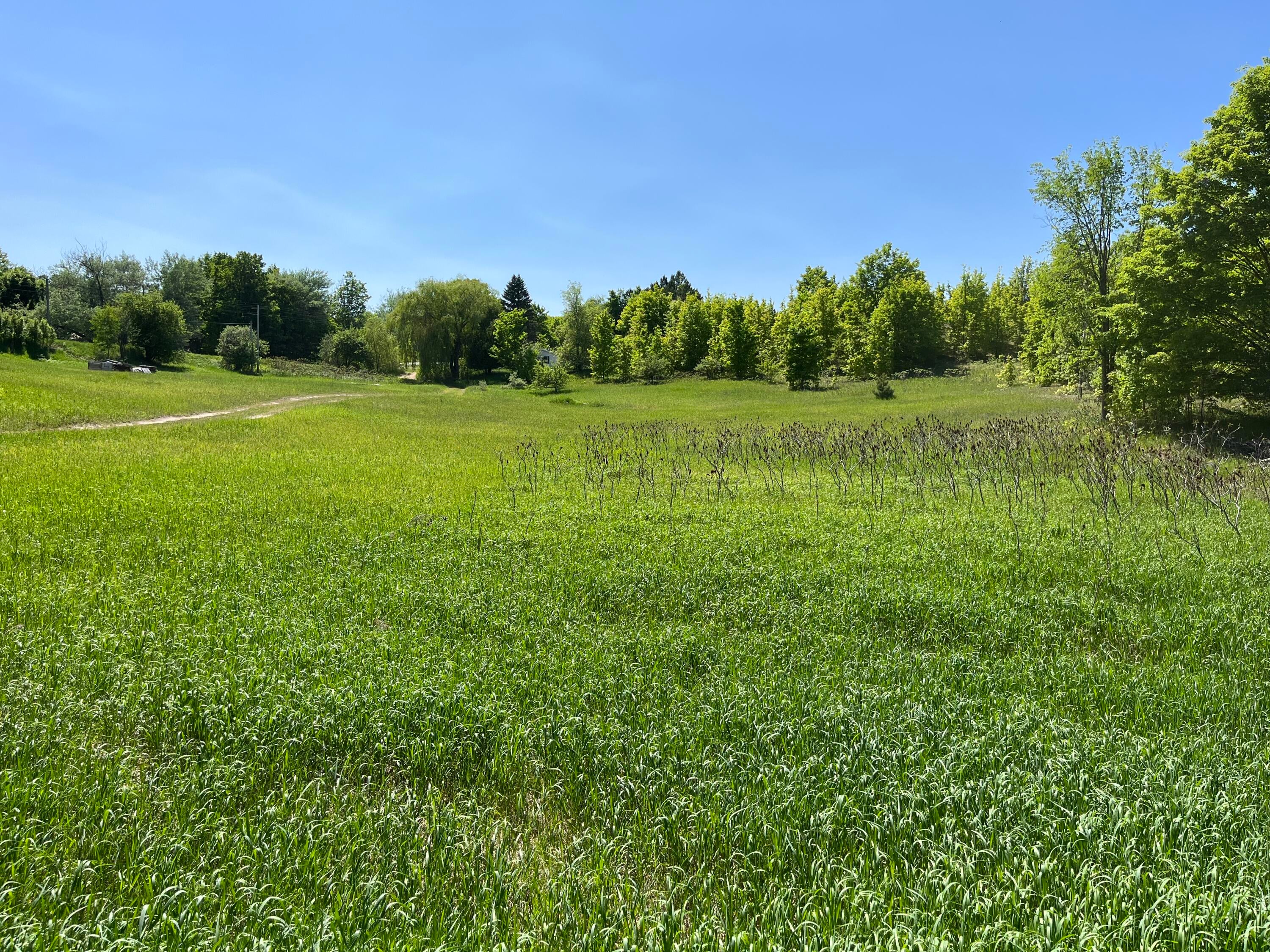 432 West Winters Road Gaylord, MI 49735 - Photo 3 of 14 Gallery Image 3