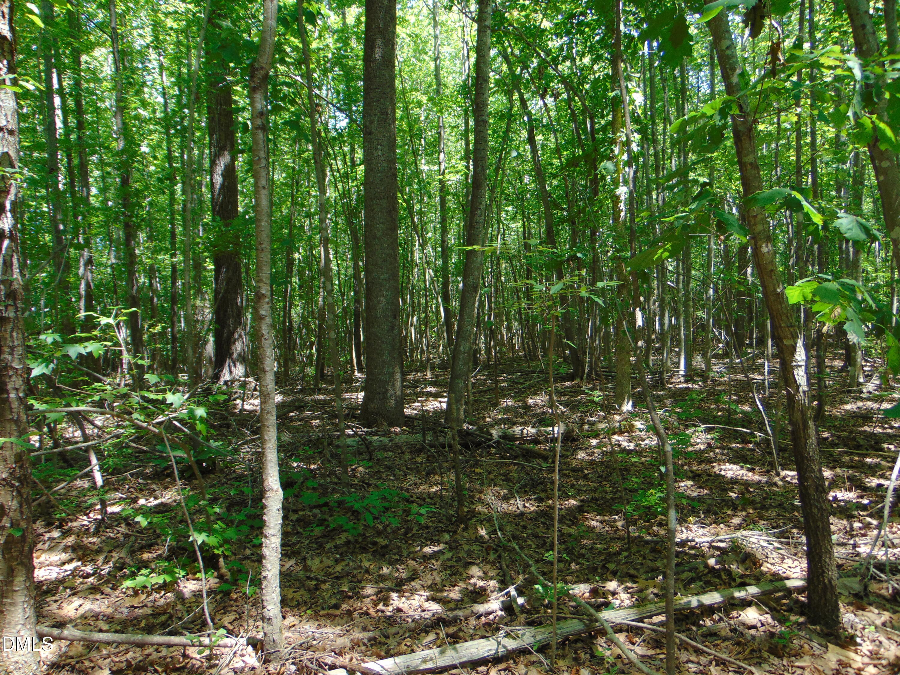 Lot 1 Hesters Store Road Roxboro, NC 27574 - Photo 3 of 7 Copy of Copy of DSC00766