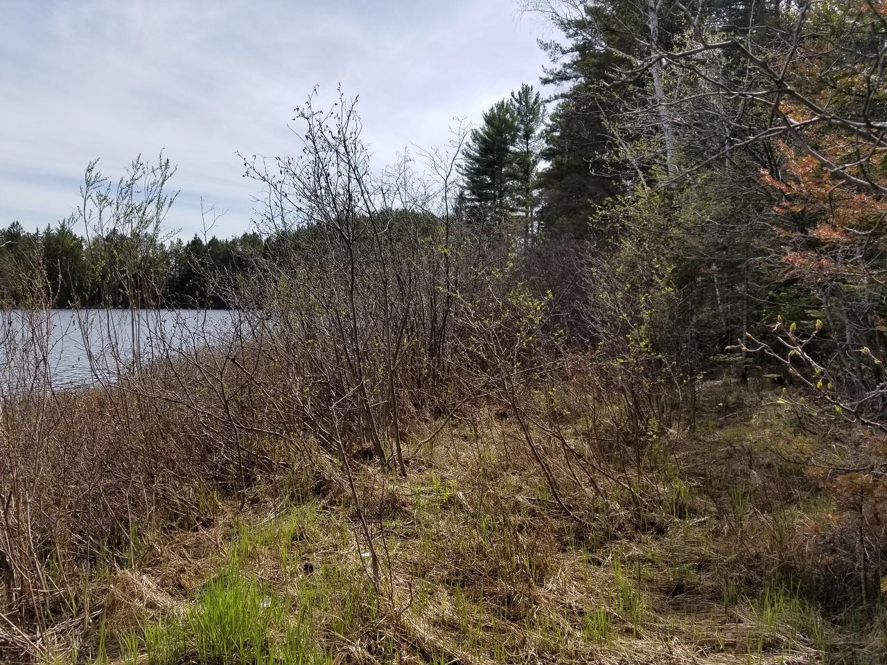Lot A Jones Road Mercer, WI 54547 - Photo 11 of 18 Gallery Image 11