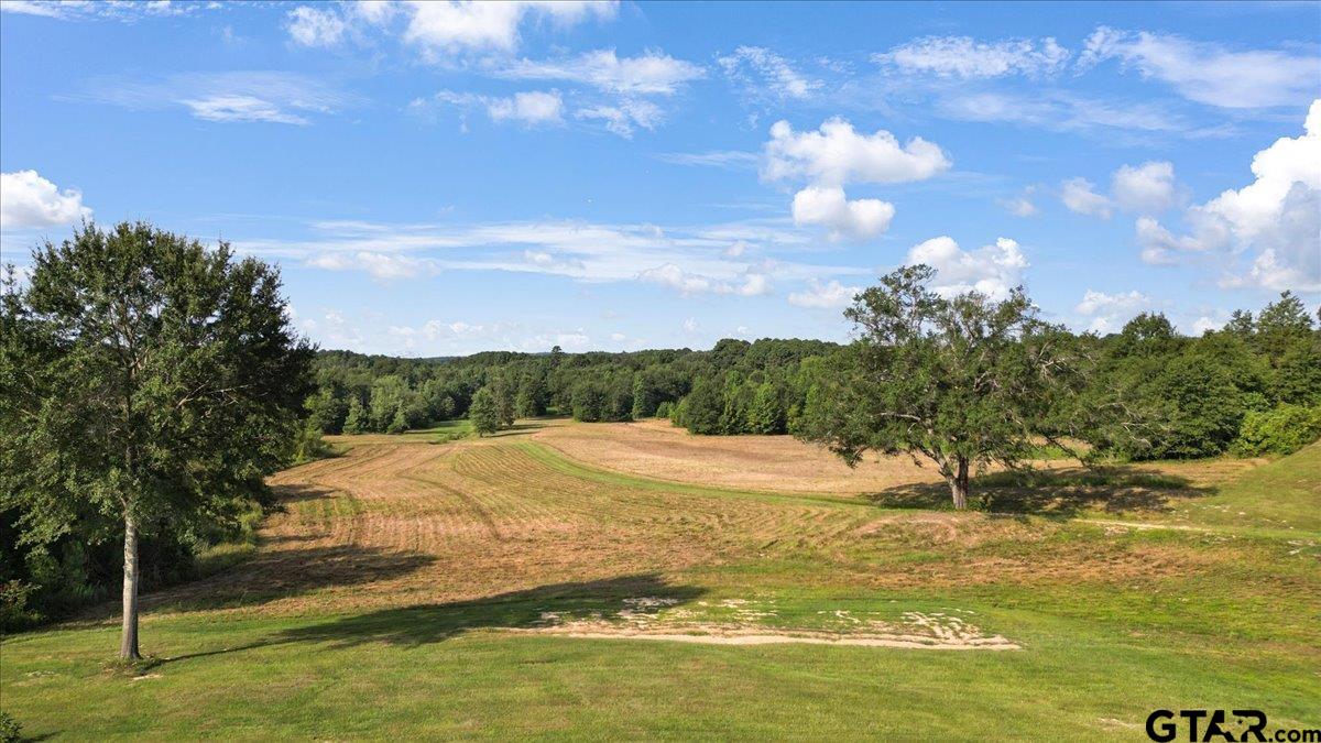 32-acres South Live Oak Road Gilmer, TX 75644 - Photo 1 of 15 a view of an ocean and beach