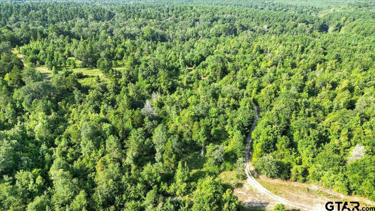 32-acres South Live Oak Road Gilmer, TX 75644 - Photo 13 of 15 a view of a lush green field