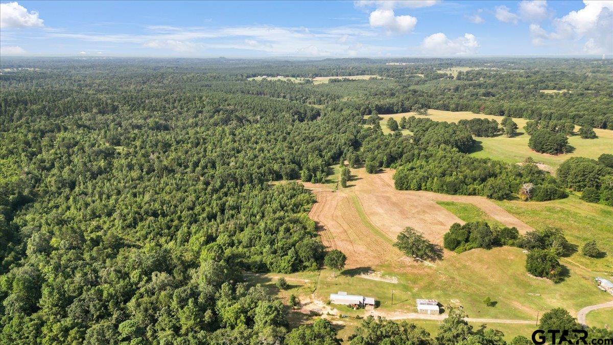 32-acres South Live Oak Road Gilmer, TX 75644 - Photo 3 of 15 a view of a city