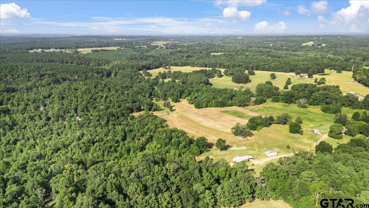 32-acres South Live Oak Road Gilmer, TX 75644 - Photo 4 of 15 a view of a lake view