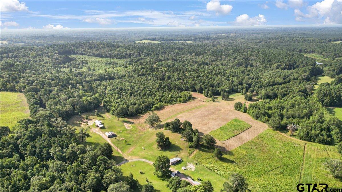 32-acres South Live Oak Road Gilmer, TX 75644 - Photo 5 of 15 a view of a city