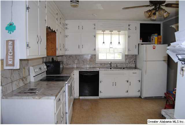5140 Nisbet Lake Road Jacksonville, AL 36265 - Photo 5 of 26
